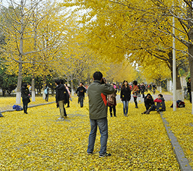 星空网页版登录入口风采展示三